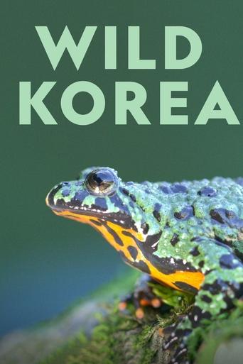 Wild Korea Poster of Wild Korea