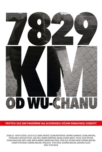 7829 km od Wu-chanu Poster of 7829 km od Wu-chanu