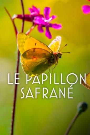 The Story of the Saffron Butterfly Poster of The Story of the Saffron Butterfly