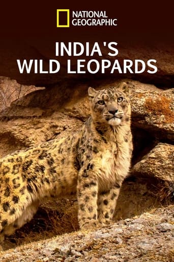 India's Wild Leopards Poster of India's Wild Leopards