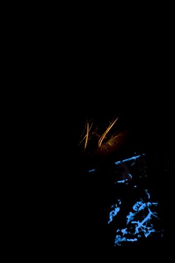 Night Fire Poster of Night Fire