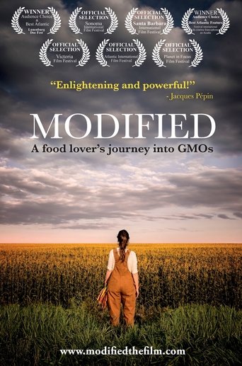 Modified Poster of Modified