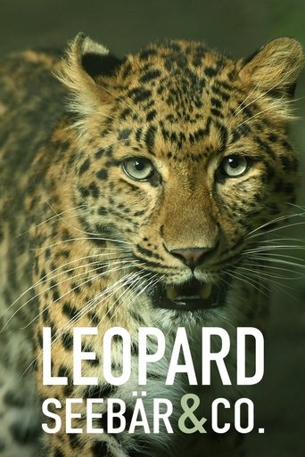 Leopard, Seebär & Co. Poster of Leopard, Seebär & Co.
