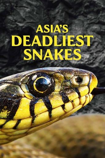 Asia's Deadliest Snakes Poster of Asia's Deadliest Snakes
