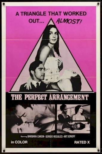 The Perfect Arrangement Poster of The Perfect Arrangement