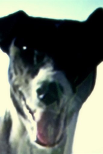 Escape Velocity Poster of Escape Velocity