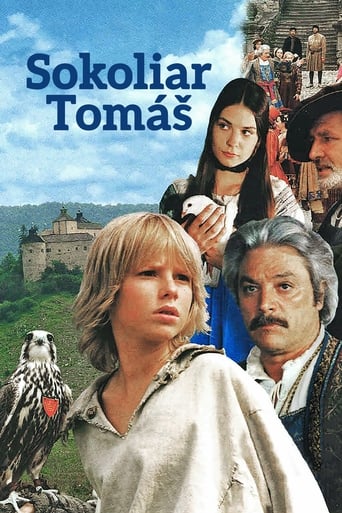 Poster of Tomáš and the Falcon King