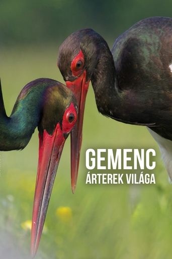 Gemenc – The World of Floodplains Poster of Gemenc – The World of Floodplains