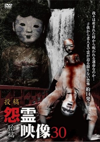 Posted Grudge Spirit Footage Vol.30: Embryo Edition Poster of Posted Grudge Spirit Footage Vol.30: Embryo Edition