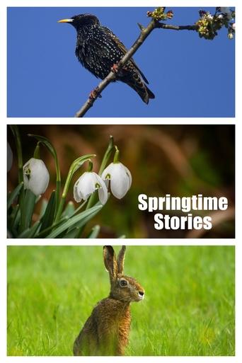 Springtime Stories Poster of Springtime Stories