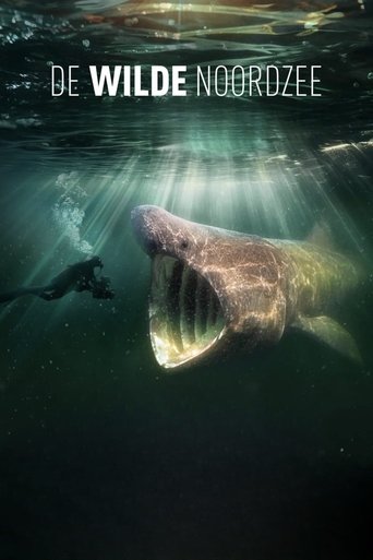 North Sea – Nature Untamed Poster of North Sea – Nature Untamed