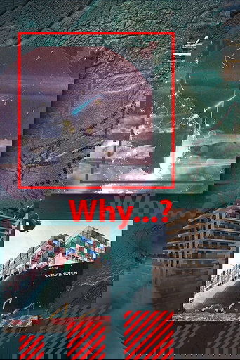 Why...? Poster of Why...?