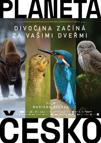 Wilder Than Wilderness Poster of Wilder Than Wilderness