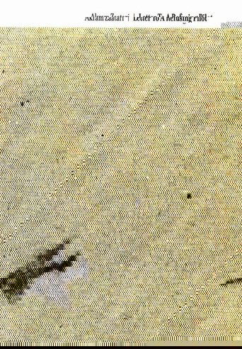 Letter to a Refusing Pilot Poster of Letter to a Refusing Pilot