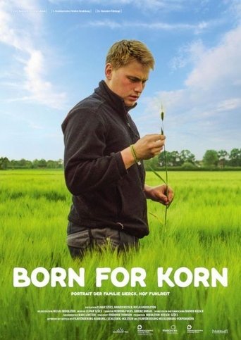 Born for Korn Poster of Born for Korn