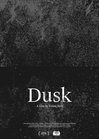 Dusk Poster of Dusk