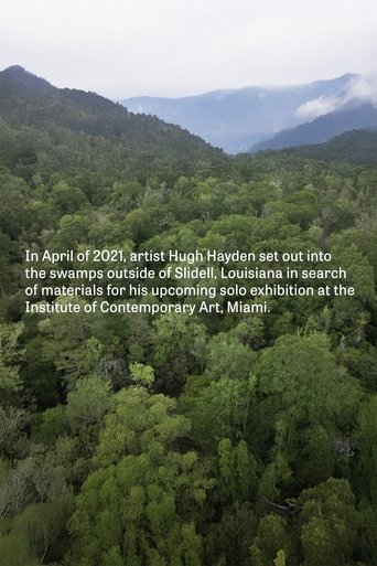 Hugh Hayden: Skeletons in the Swamp Poster of Hugh Hayden: Skeletons in the Swamp