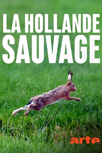 La Hollande sauvage - La faune des polders Poster of La Hollande sauvage - La faune des polders