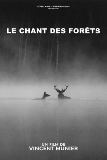 Le chant des forêts Poster of Le chant des forêts