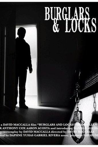 Burglars & Locks Poster of Burglars & Locks
