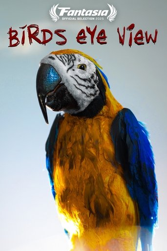 Bird's Eye View Poster of Bird's Eye View