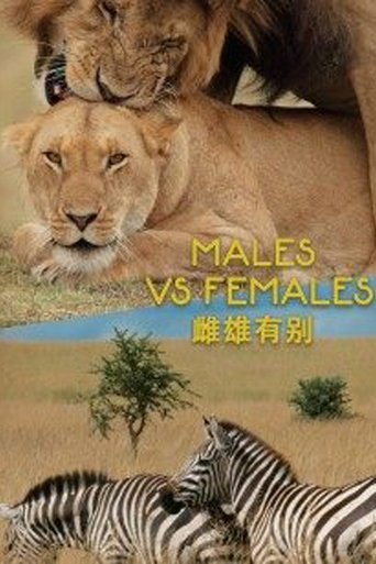 Males VS Females Poster of Males VS Females