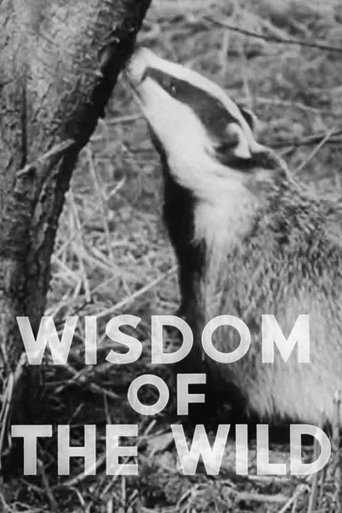 Wisdom of the Wild Poster of Wisdom of the Wild