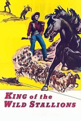 Poster of King of the Wild Stallions