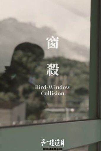 Bird-Window Collisions Poster of Bird-Window Collisions