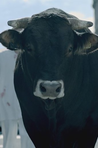 The Bull Poster of The Bull