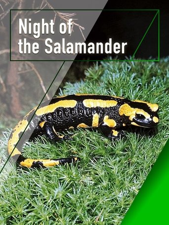 Night of the Salamander Poster of Night of the Salamander