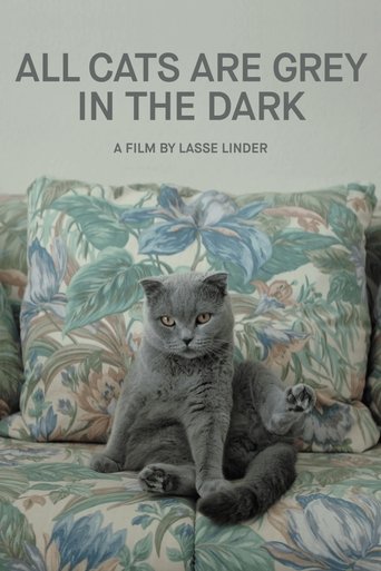 All Cats Are Grey in the Dark Poster of All Cats Are Grey in the Dark