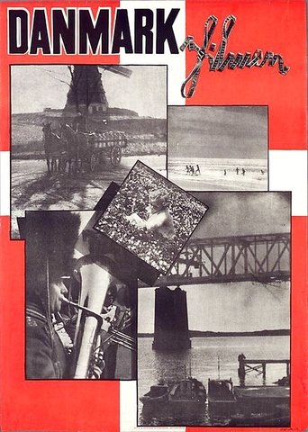 Danmarksfilmen Poster of Danmarksfilmen