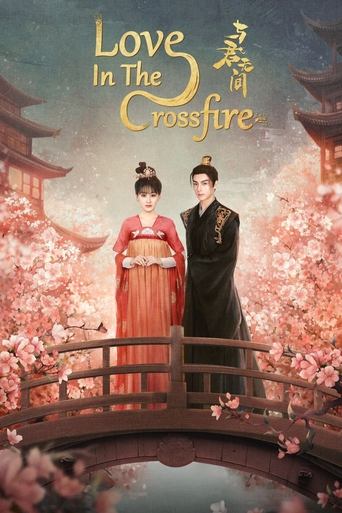 Love in the Crossfire Poster of Love in the Crossfire