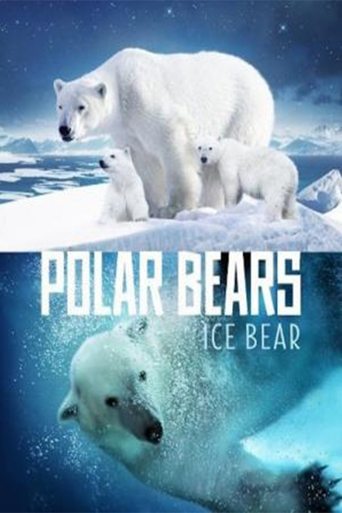 Polar Bears: Ice Bear Poster of Polar Bears: Ice Bear
