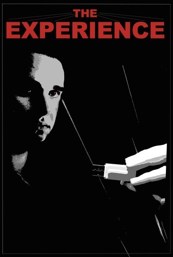The Experience Poster of The Experience