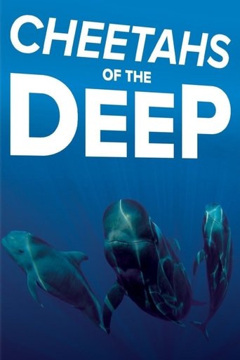 Cheetahs of the Deep Poster of Cheetahs of the Deep