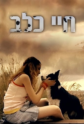 חיי כלב Poster of חיי כלב