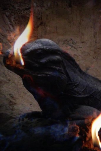 Blacklands Poster of Blacklands