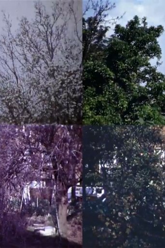 From Four Seasons Poster of From Four Seasons