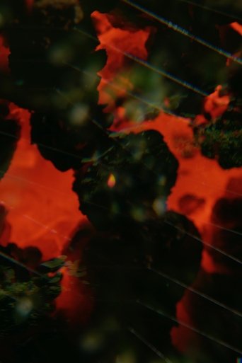 The Visitation Poster of The Visitation