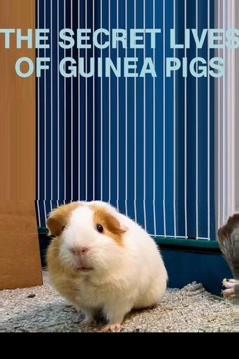 The Secret Lives of Guinea Pigs Poster of The Secret Lives of Guinea Pigs