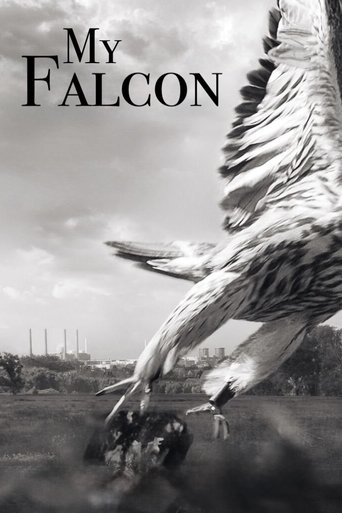 My Falcon Poster of My Falcon