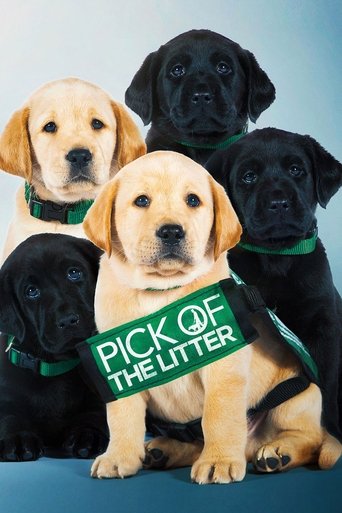 Pick of the Litter Poster of Pick of the Litter