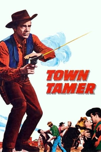 Poster of Town Tamer