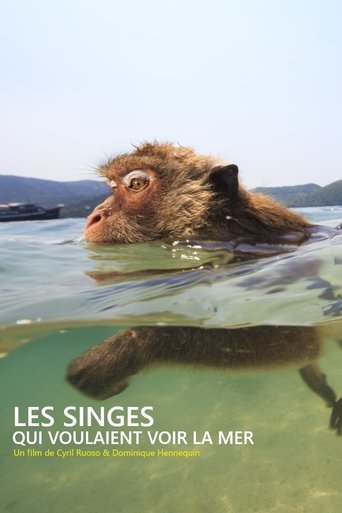 Les singes qui voulaient voir la mer Poster of Les singes qui voulaient voir la mer