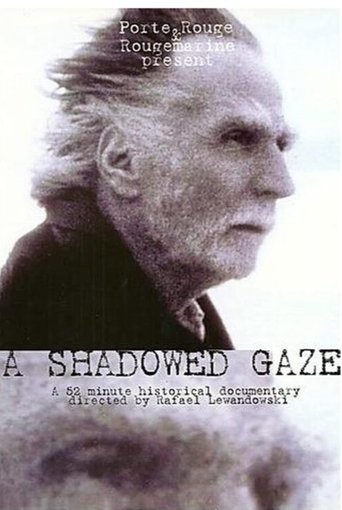 A Shadowed Gaze Poster of A Shadowed Gaze