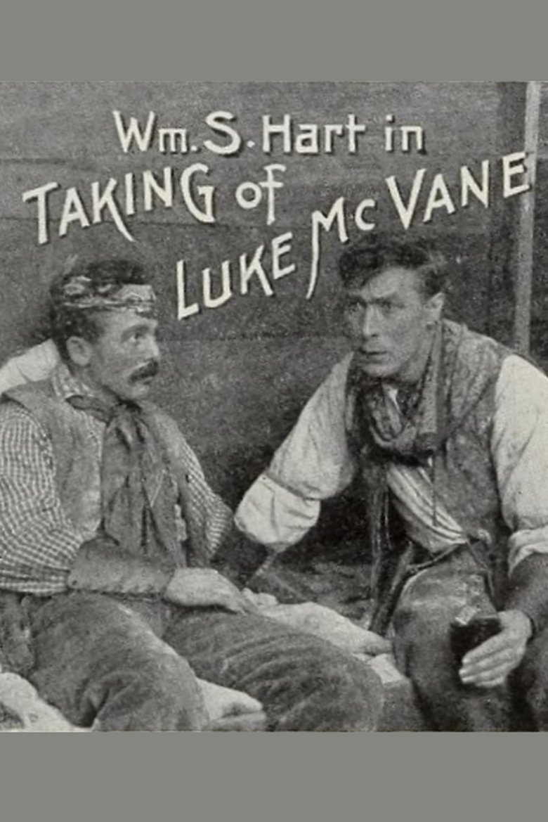 The Taking of Luke McVane Poster of The Taking of Luke McVane