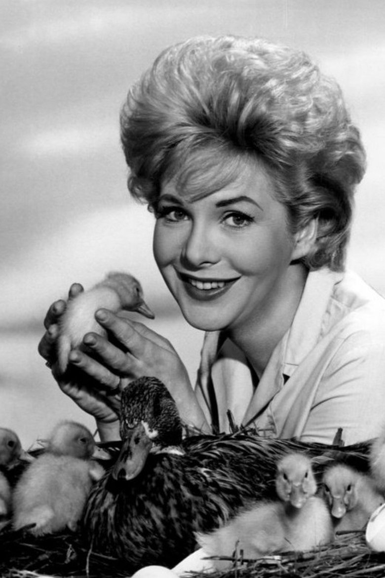 Jan Shepard Portrait of Jan Shepard