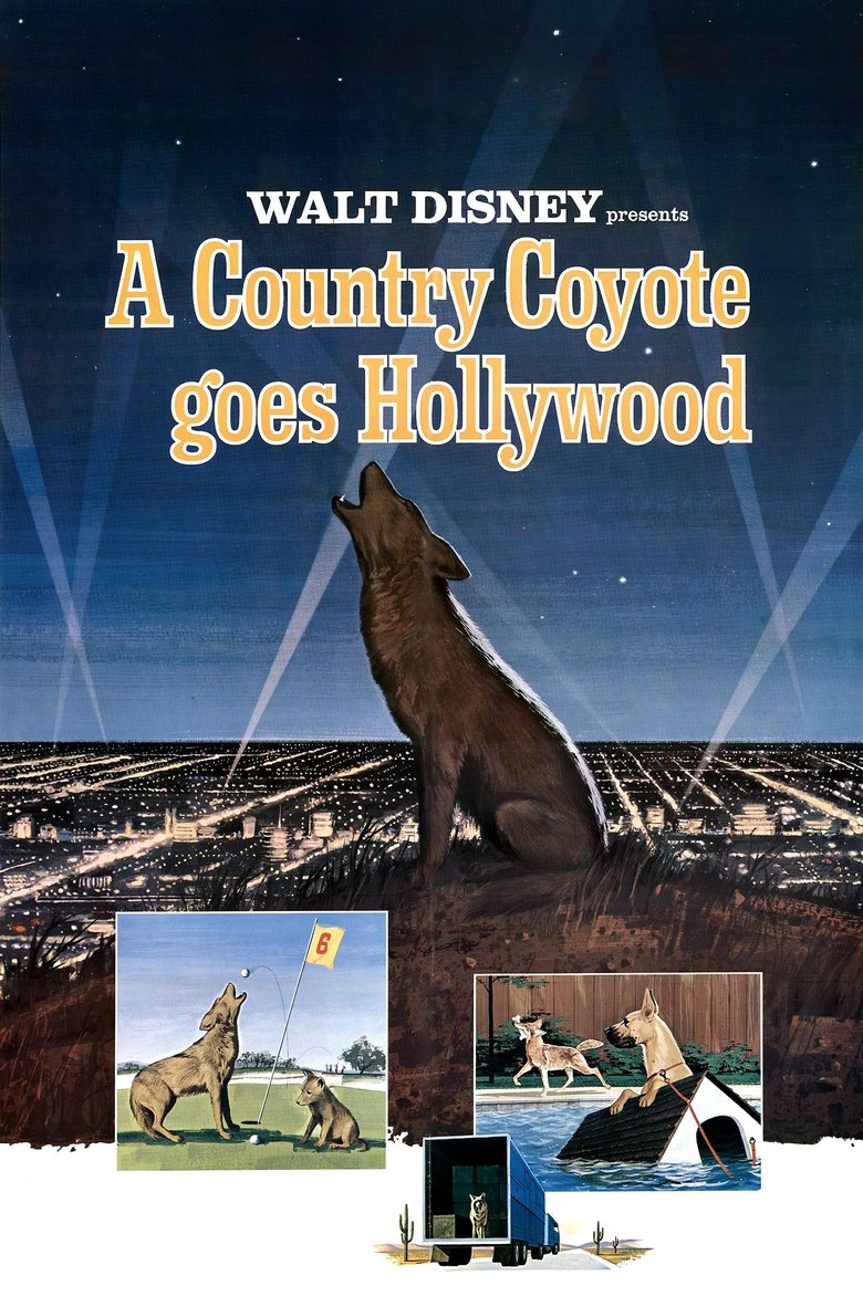 A Country Coyote Goes Hollywood Poster of A Country Coyote Goes Hollywood